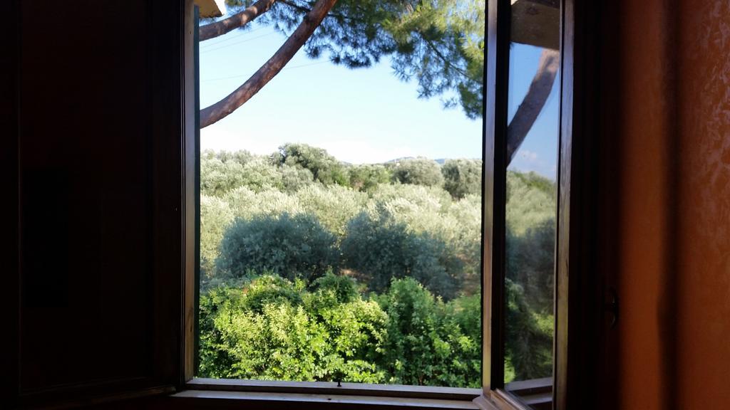 Hotel Villa Maria Luigia Frascati Room photo